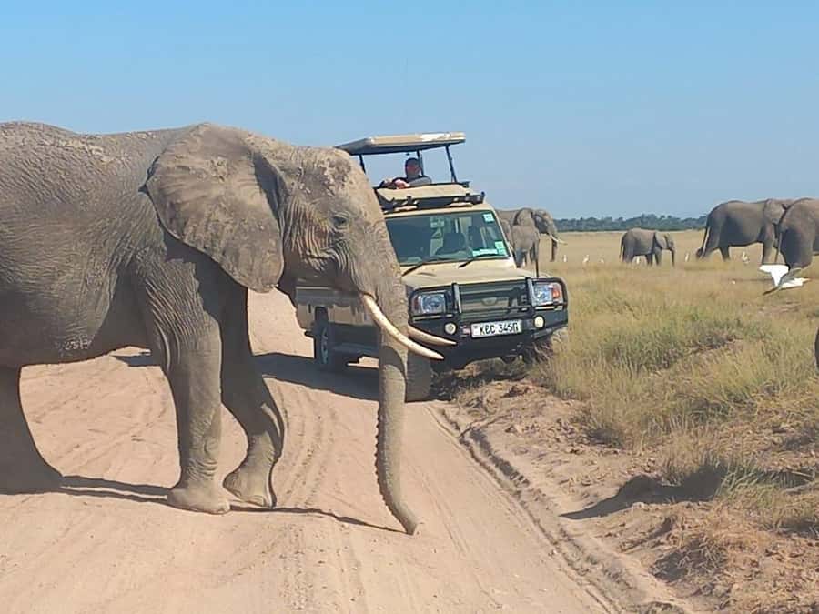 DAY TRIP AMBOSELI PARK FROM NAIROBI AND MASAI VILLAGE. - Road comfort, vehicle setup, and practical planning