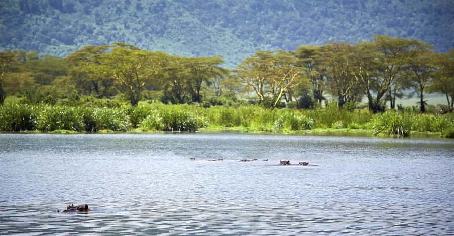 Day Trip: Hell's Gate Bike Ride & Lake Naivasha Boat Ride - The Real Cost of the $34 Starting Price