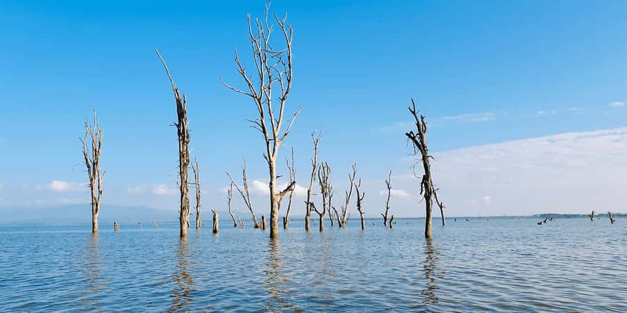 Day Trip: Hell's Gate Bike Ride & Lake Naivasha Boat Ride - Should You Book the Hell’s Gate and Naivasha Combination?