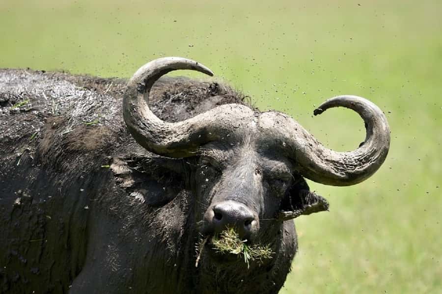 Day trip lake Naivasha and Hells gate - What the guiding can add