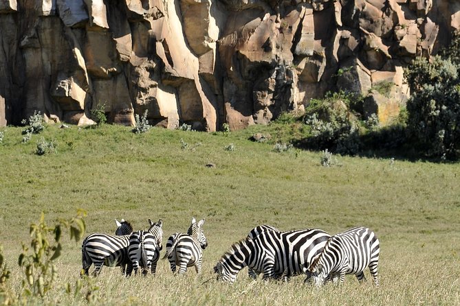 Day Trip To Crescent Island And Hells Gate National Park - Who should choose this experience?