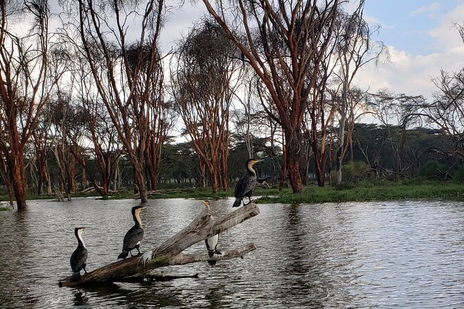 Day trip to Hells Gate National Park with boat ride on Lake Naivasha - The 7:00 a.m. pickup and Great Rift Valley viewpoint