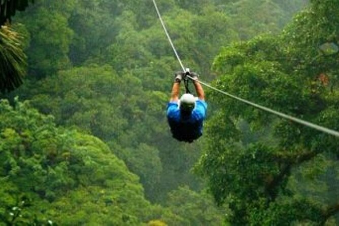 Day Trip to Kereita Forest and Ziplining - Why Kereita Forest makes a good Nairobi escape