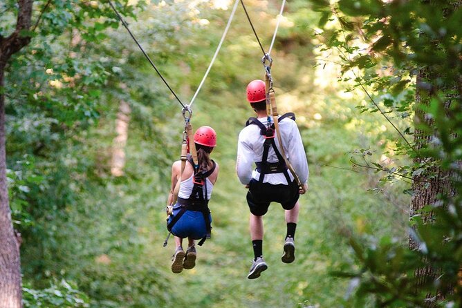 Day Trip to Kereita Forest and Ziplining - The bubbling spring at Carbacid Forest Gate