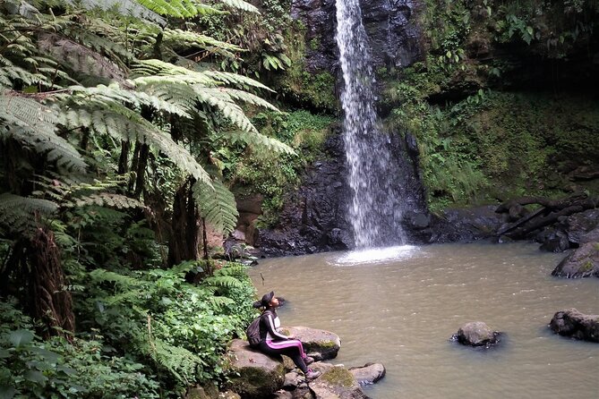 Day Trip to Kereita Forest and Ziplining - Six zip lines, with a separate $25 charge