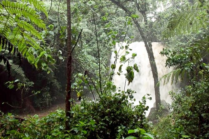 Day Trip to Kereita Forest and Ziplining - Guides who add more than directions