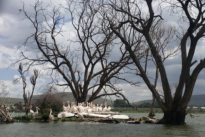 Day Trip to Mt. Longonot with Boat Ride in Lake Naivasha - What the $60 price really covers