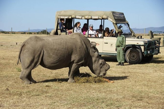 Day trip to Ol Pejeta conservancy from Nairobi - The long road from Nairobi to Ol Pejeta