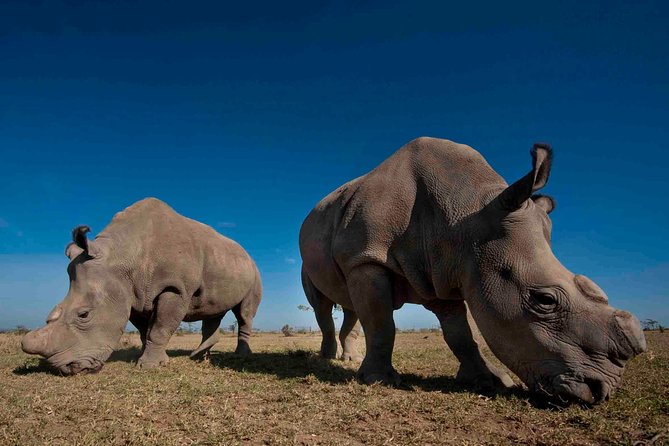 Day trip to Ol Pejeta conservancy from Nairobi - A quick stop at the equator marker