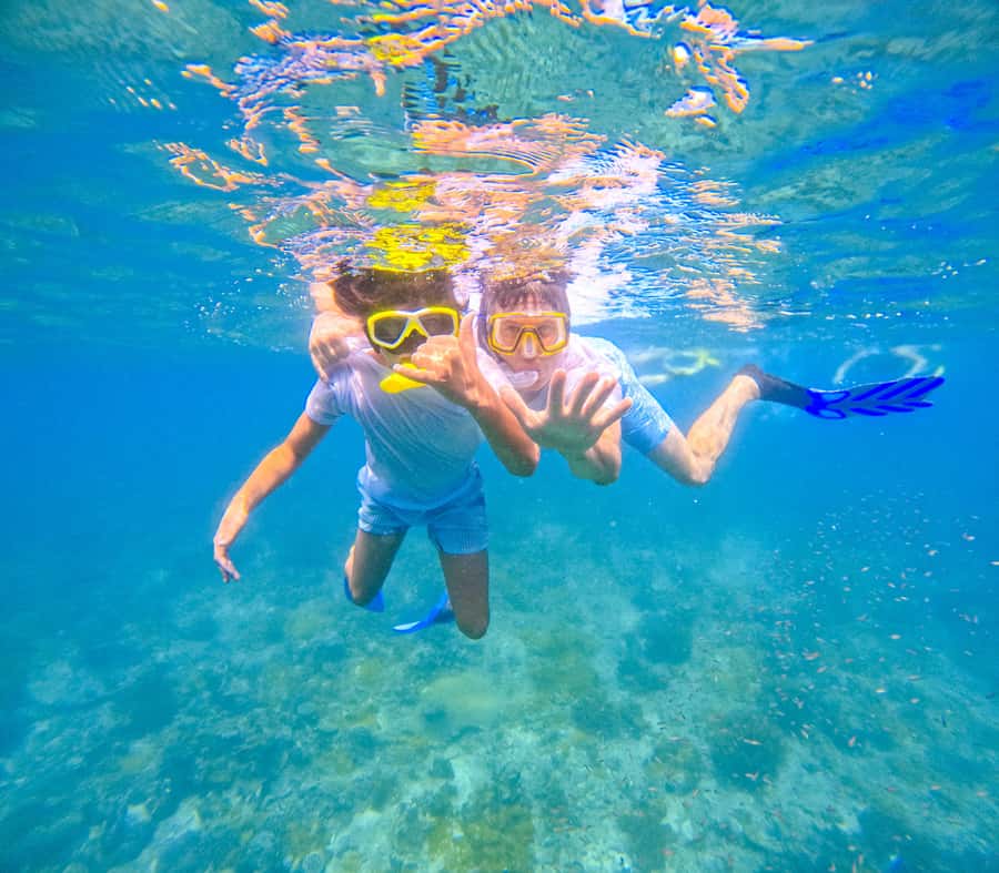 Dhow Adventure to Wasini Island & Kisite Marine Park - Sandbank time depends on the tide
