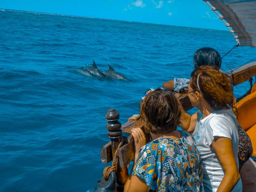 Dhow Adventure to Wasini Island & Kisite Marine Park - Returning by dhow and minibus