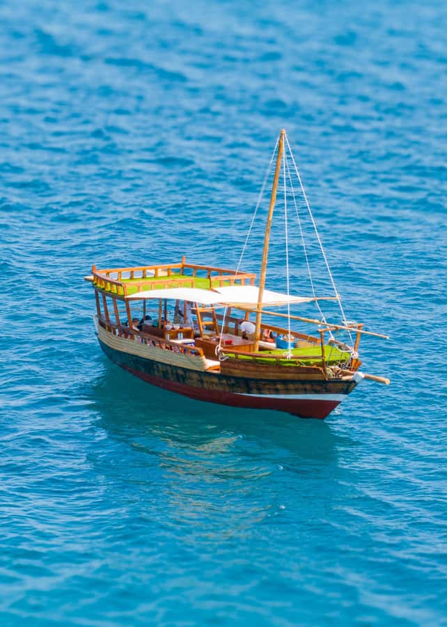 Dhow Adventure to Wasini Island & Kisite Marine Park - What $128 includes, and what it does not