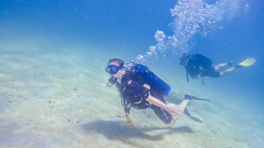 Dhow Adventure to Wasini Island & Kisite Marine Park - Group size, guides, and comfort