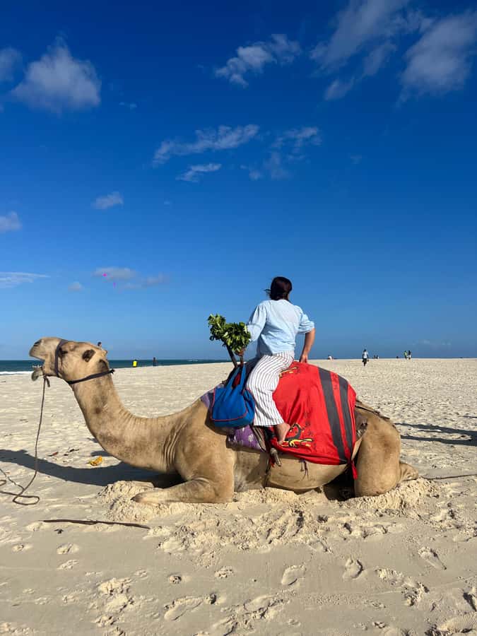 DIANI: BEACH CAMEL RIDE - Meeting the camels at Kongo Mosque