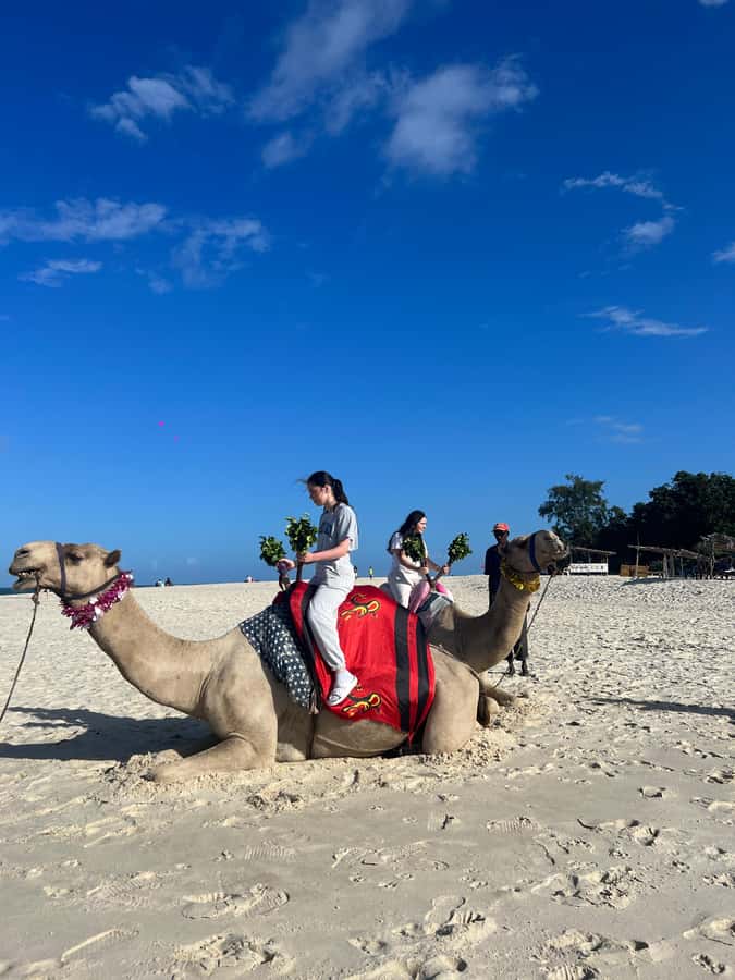 DIANI: BEACH CAMEL RIDE - What the private group changes