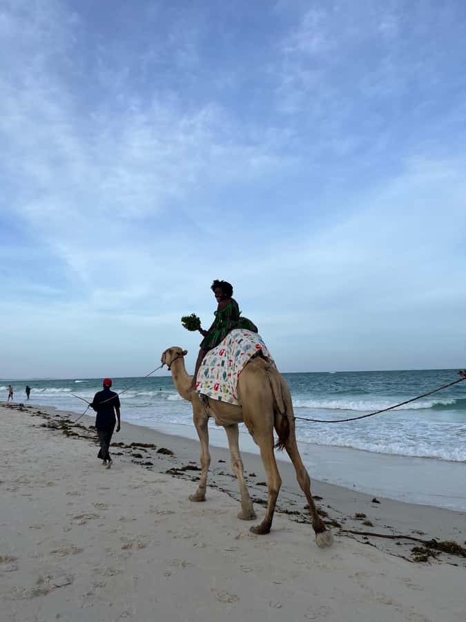 DIANI: BEACH CAMEL RIDE - Thirty minutes along Diani’s white sand