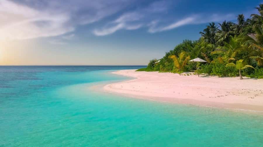 Diani Beach: Funzi Island Day Trip with Lunch - Key points to know before you book