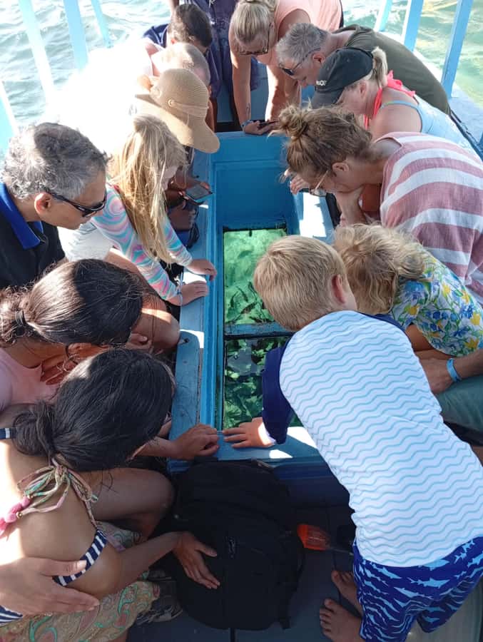 Diani Beach: Glass-Bottom Boat Cruise to Robinson Island - Key points to know before you book
