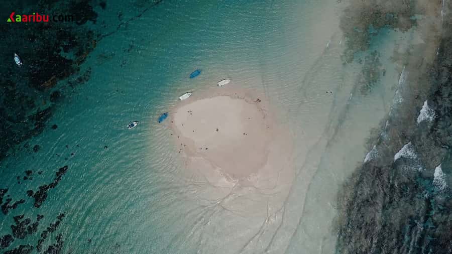 Diani Beach: Glass-Bottom Boat Cruise to Robinson Island - Robinson Island and the changing tide