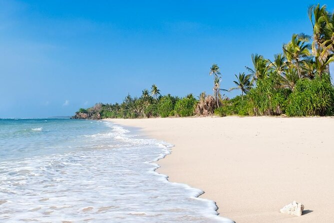 Diani Beach: Glass-bottom Boat Ride with Underwater Show - Local fishing and conservation in plain language