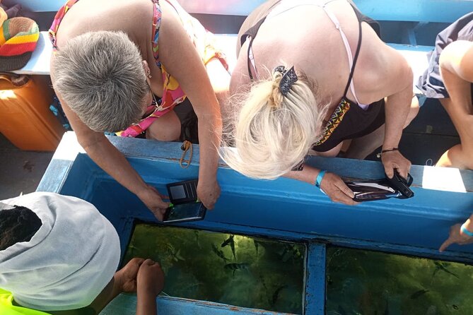 Diani Beach: Glass-bottom Boat Ride with Underwater Show - What the boat offers on the water