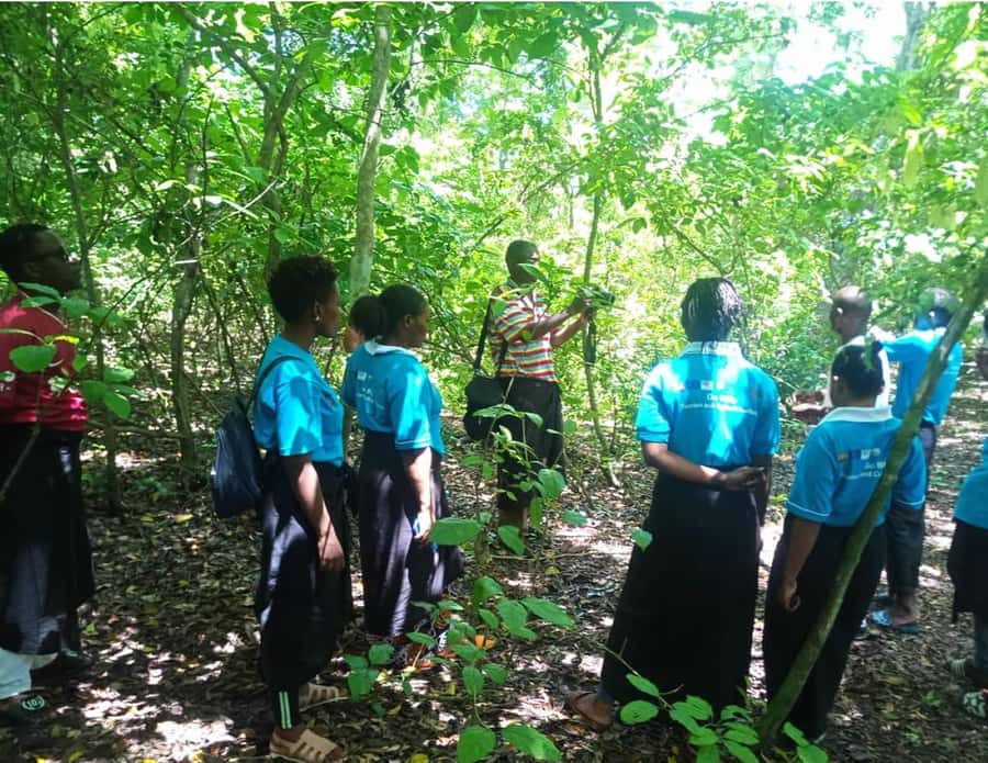 Diani Beach: Kaya Kinondo cultural and nature experience - Why Kaya Kinondo matters