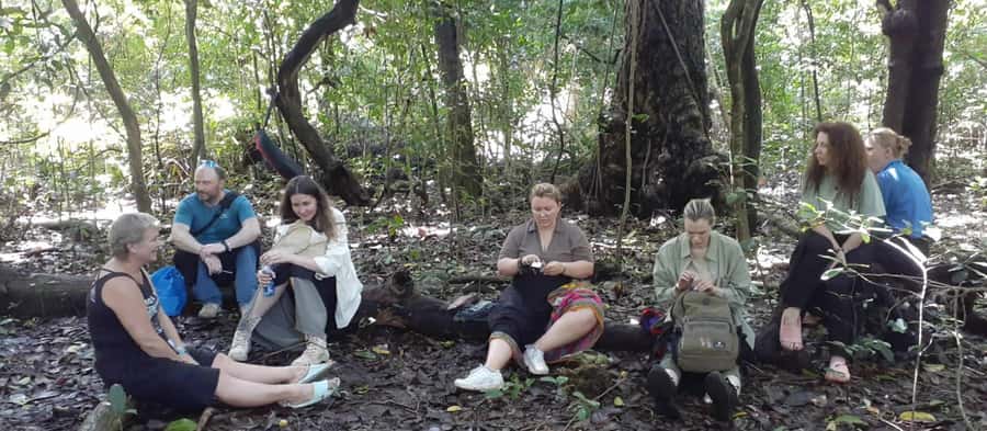 Diani Beach: Kaya Kinondo cultural and nature experience - Walking the shaded forest trail