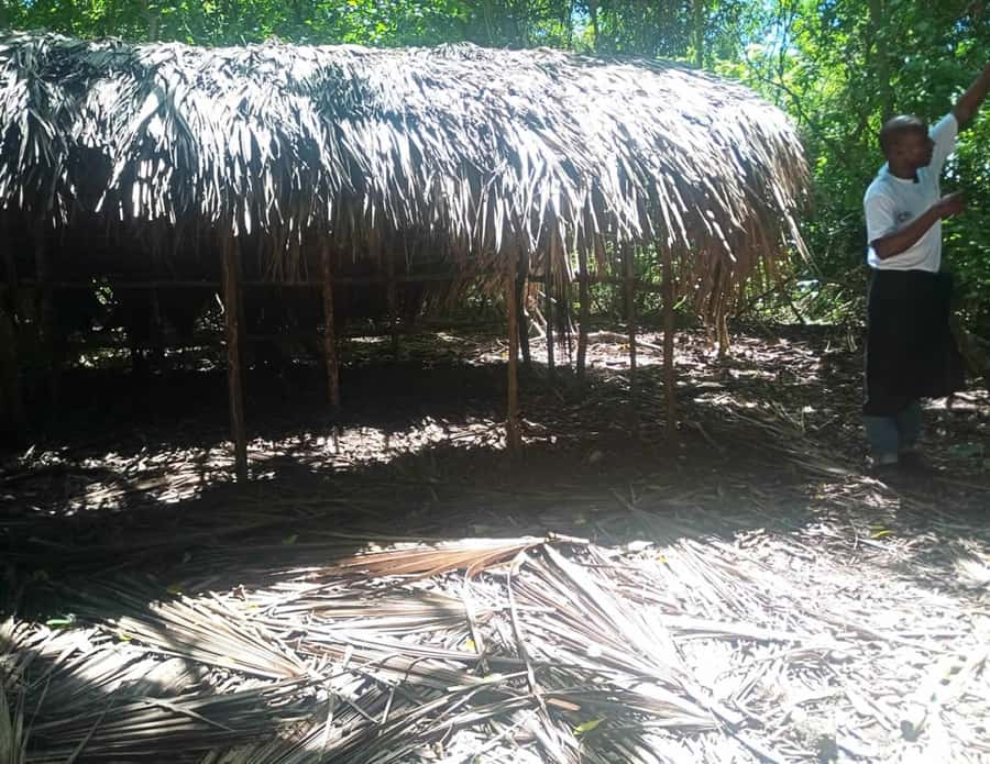 Diani Beach: Kaya Kinondo cultural and nature experience - The short transfer to the community village
