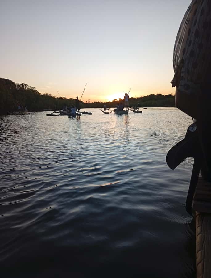 Diani Beach: Kongo River Sunset Experience in a canoe - Mangroves, palms, and more than 30 bird species