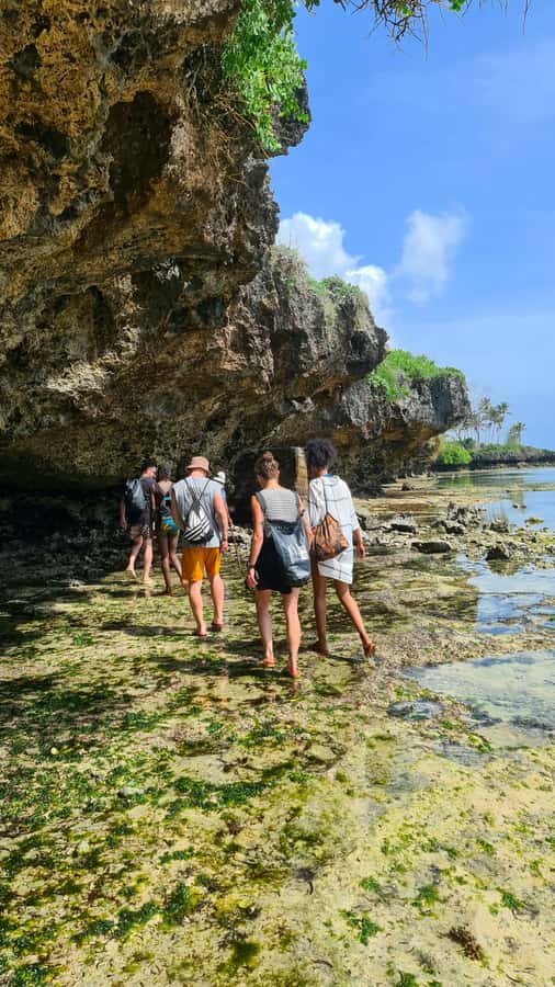 Diani Beach: Private African Pool Map Guided Tour - Walking the shore to the African Pool