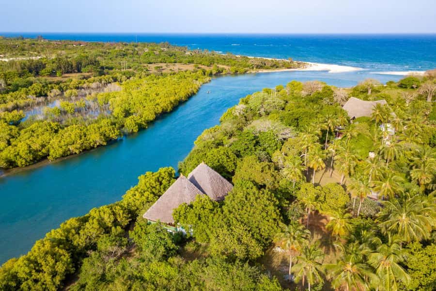 Diani Beach: Sunset Dhow Cruise with Dinner - Boarding a traditional dhow for the first 30 minutes