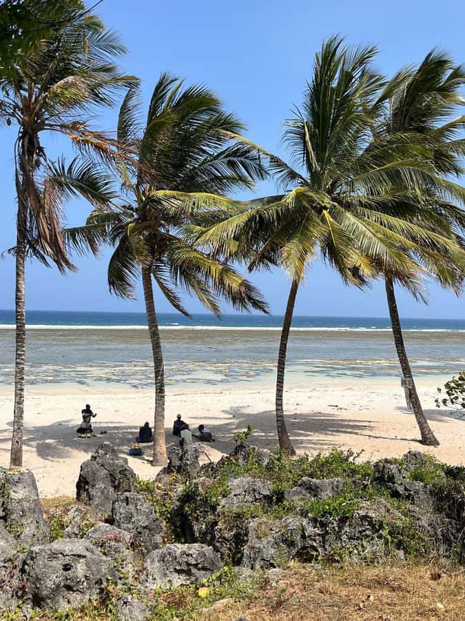 Diani: Full day Guided tour in Tiwi beach & Diani - A full day that moves from Diani to Tiwi and Ukunda