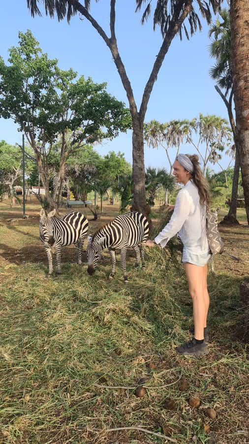 DIANI: SHARE A MEAL WITH GIRAFFES - Zebras, ostriches, and the smaller animals