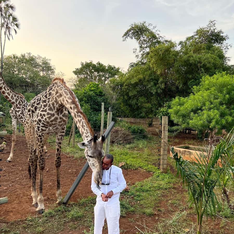 DIANI: SHARE A MEAL WITH GIRAFFES - What the 4 pm pickup means