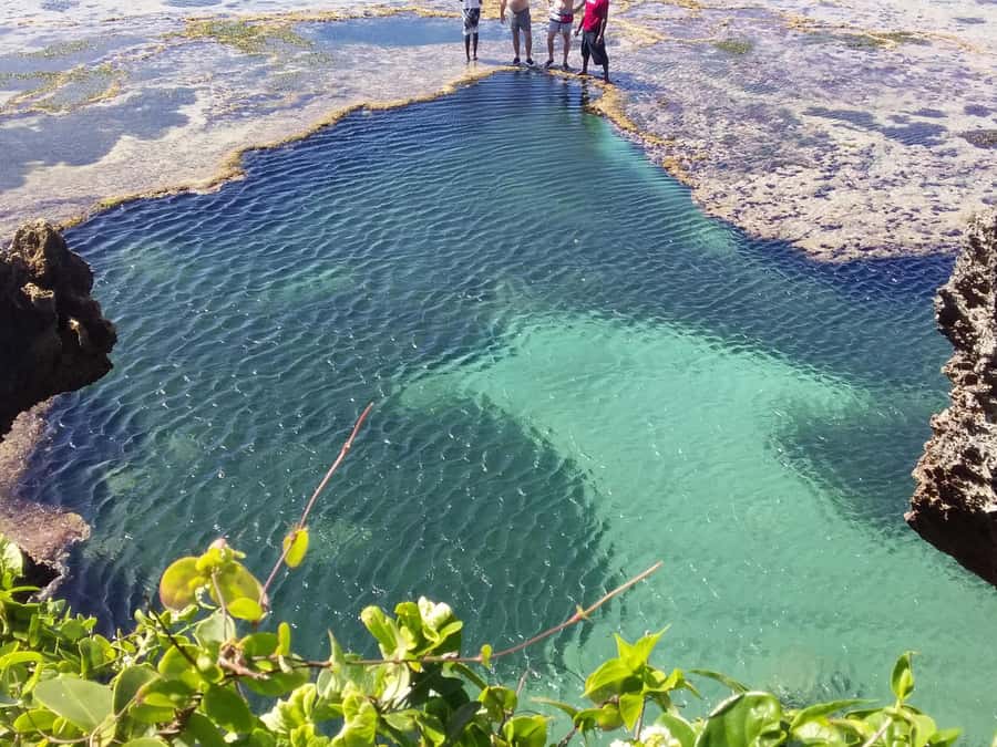 Diani: Snorkeling and Swimming at African Pool in Tiwi Beach - A private group makes the water time more personal