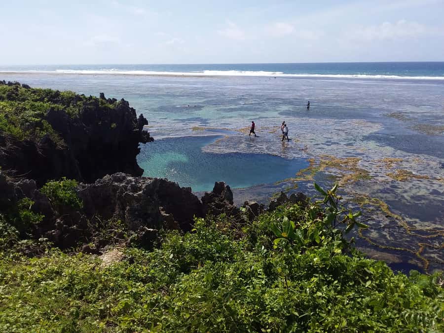 Diani: Snorkeling and Swimming at African Pool in Tiwi Beach - Return to Tiwi Beach for Swahili snacks