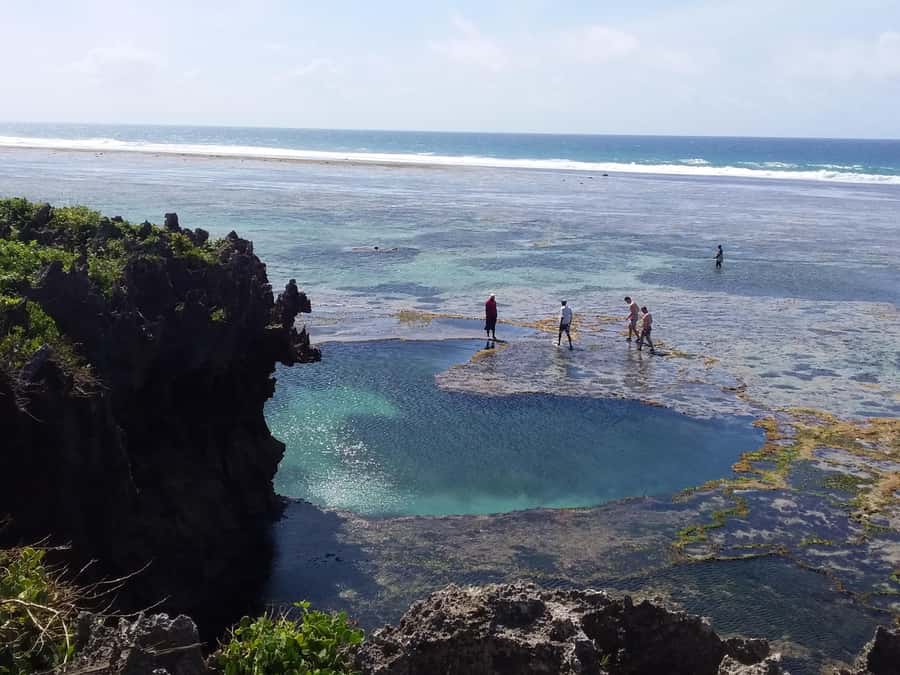 Diani: Snorkeling and Swimming at African Pool in Tiwi Beach - Who will enjoy this Tiwi outing most