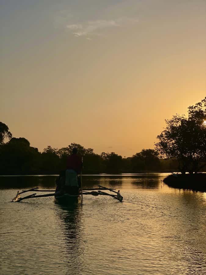Diani: Sunset Canoe Tour along the River with Mangroves - Key points to know before you book