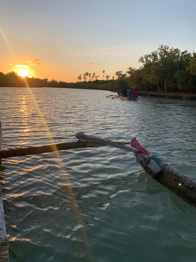 Diani: Sunset Canoe Tour along the River with Mangroves - Starting at Kongo Mosque