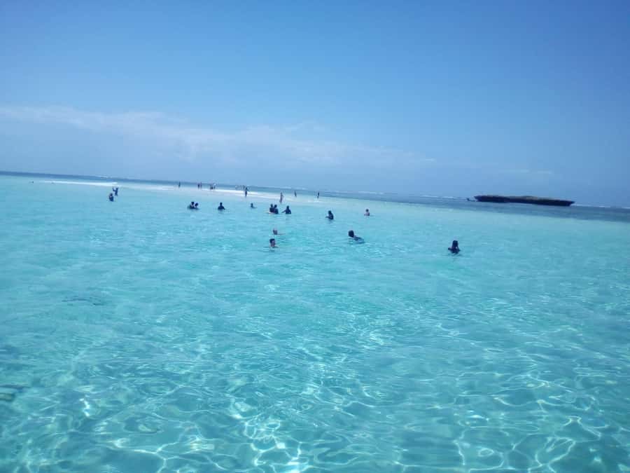 Diani: Wasini Island Dolphin Watching and Snorkeling Tour - Dolphin watching along the Kenyan coast