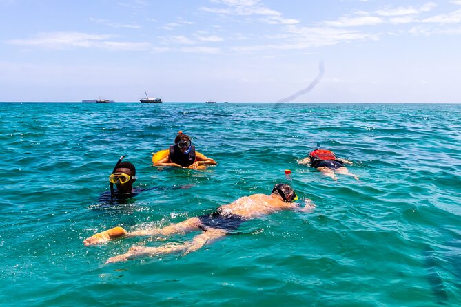 Dolphin Watch & Snorkeling at Kisite Marine Park & Wasini Island - From Mombasa to the marine park