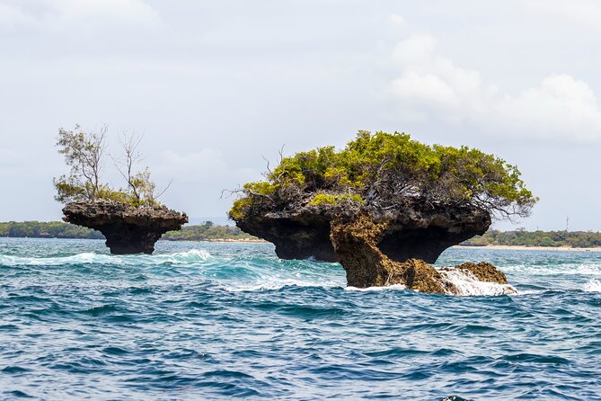 Dolphin Watch & Snorkeling at Kisite Marine Park & Wasini Island - Guides, service, and group size