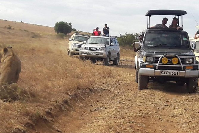 Early Morning Group Joining Mini Safari To Nairobi National Park - What the $71.43 price really covers
