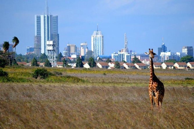 Early Nairobi Park Giraffe Centre and Optional Elephant Orphanage - Wildlife inside a capital city