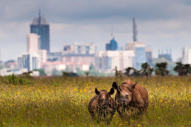 Early Nairobi Park Giraffe Centre and Optional Elephant Orphanage - What the $155 price covers