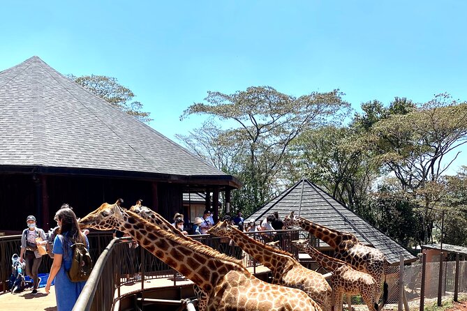 Elephant Orphanage and Giraffe Center Nairobi Day Tour - Private transport, pickup, and the value of saved time