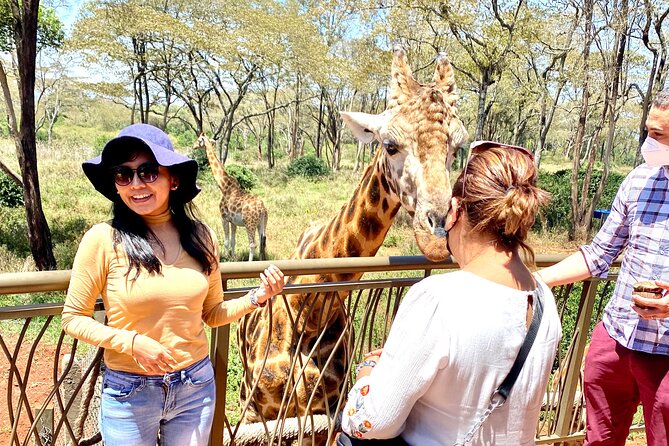 Elephant Orphanage and Giraffe Center Nairobi Day Tour - What the short schedule feels like