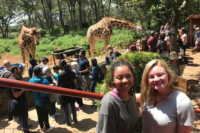 Elephant Orphanage and Giraffe Center Nairobi Day Tour - What the service feedback tells me