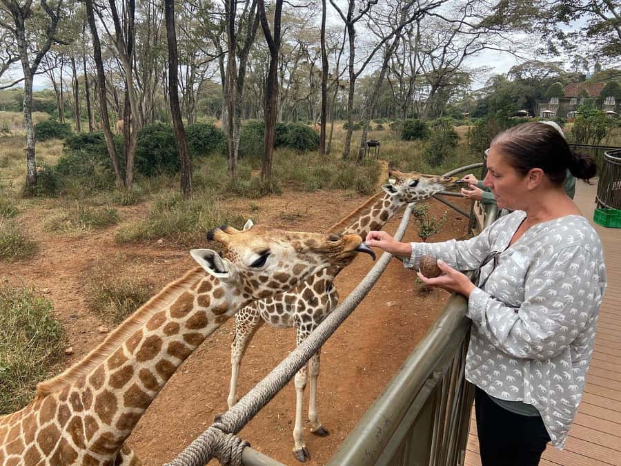 Elephant Orphanage and Giraffe Center Tour with Options - Optional Nairobi National Park game drive
