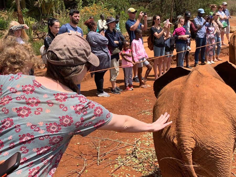Elephant Orphanage and Giraffe Center Tour with Options - Karen Blixen and Bomas of Kenya options